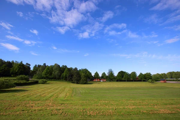 Campo Suecia vista —  Fotos de Stock