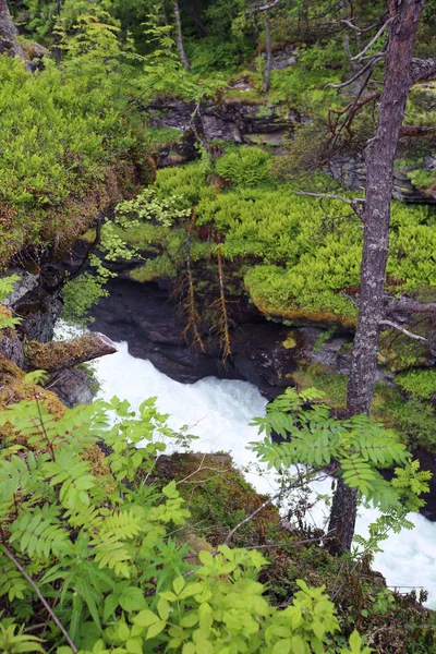 Glaciala river, Norge — Stockfoto