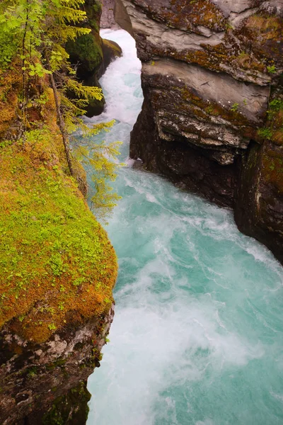 Eisfluss, Norwegen — Stockfoto