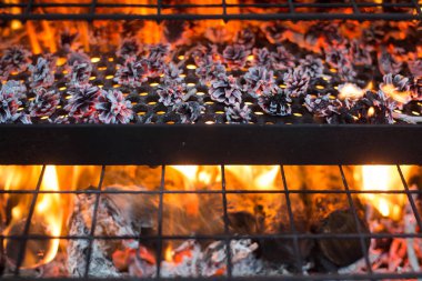 Açık ateş ile ev içi duman evi