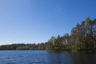 göl ve orman Finlandiya