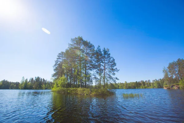 Lago y bosque en Finlandia — Foto de Stock