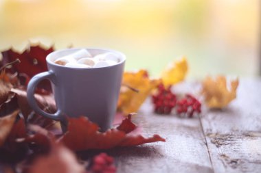 Sonbahar marshmellows ile kakao