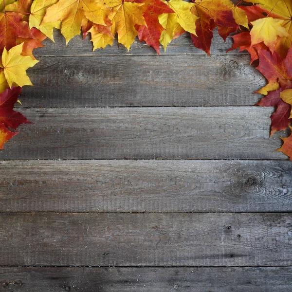 Marco de hojas de otoño sobre fondo de madera — Foto de Stock