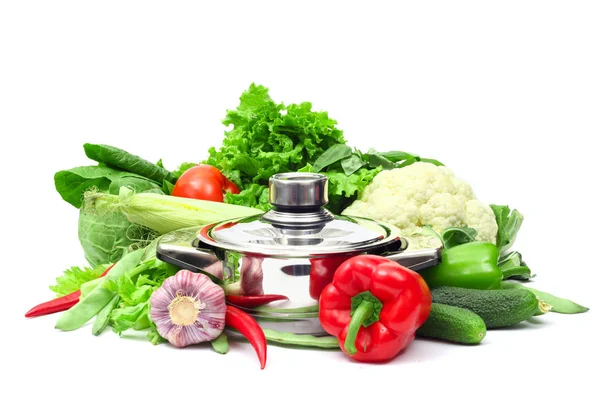 Friss zöldségek és főzőfazék — Stock Fotó