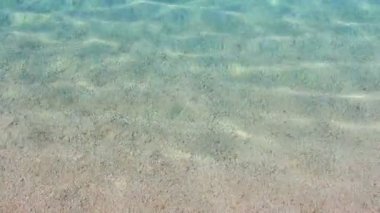 Hırvatistan 'ın Brac adasının Sumartin kentinde güneşli bir günde, plaj yakınında kristal şeffaf deniz suyunun güzel arka planı