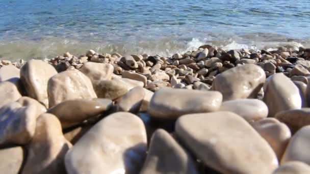 Stone Beach Sea Crystal Clear Sea Water Sunny Day Sumartin — стоковое видео