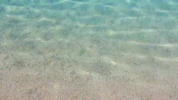 Prachtige Achtergrond Van Kristalhelder Transparant Zeewater Nabij Strand Zonnige Dag — Stockvideo