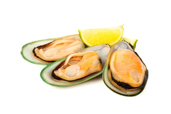 Three Female New Zealand Greenshell Mussels Studio Isolated White Background — Stock Photo, Image