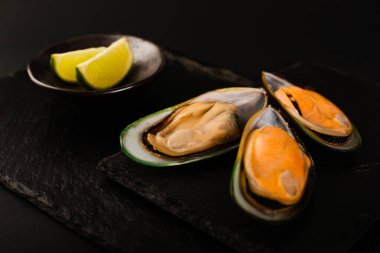 Yeni Zelanda yeşil kabuklu midyeleri siyah taş kaplama arka planda ve limonlu lüks stüdyo çekimlerinde.