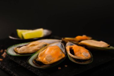 Yeni Zelanda 'nın yeşil kabuklu midyeleri siyah arka planda izole edilmiş ve limonlu lüks stüdyo çekimlerinde kullanılıyor.