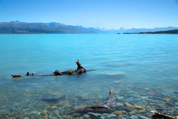 Treibholz Pukaki See Mit Reitkoch Hintergrund Neuseeland — Stockfoto