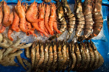 Karides ve kerevit ekranda Noryangjin balık pazarı Güney Kore