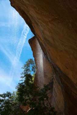 Emerald havuzları, Zion National park Utah Amerika Birleşik Devletleri'nde, şelaleler