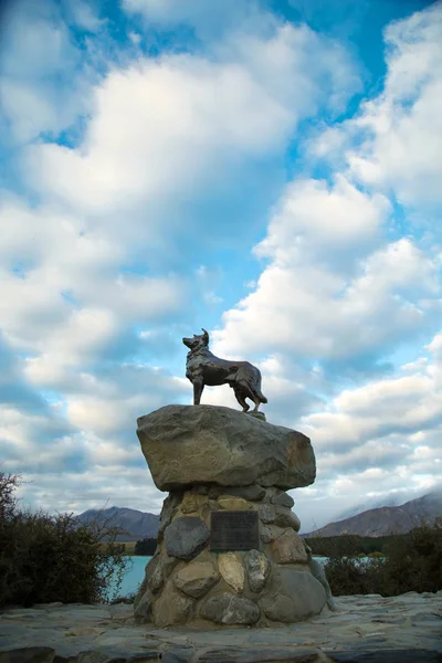 Tekapo Lake March 2018 Bronze Statue New Zealand Collie Sheepdog — Stock Photo, Image