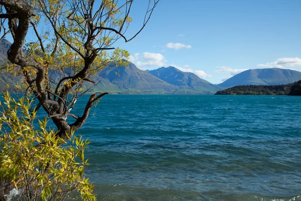 Bella Vista Sul Lago Wakatipu Con Albero Giallo Montagne Sullo — Foto Stock