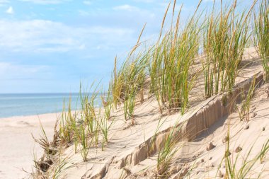 Çayırlarının ve kum tepeleri Magdalen Adası Quebec Kanada