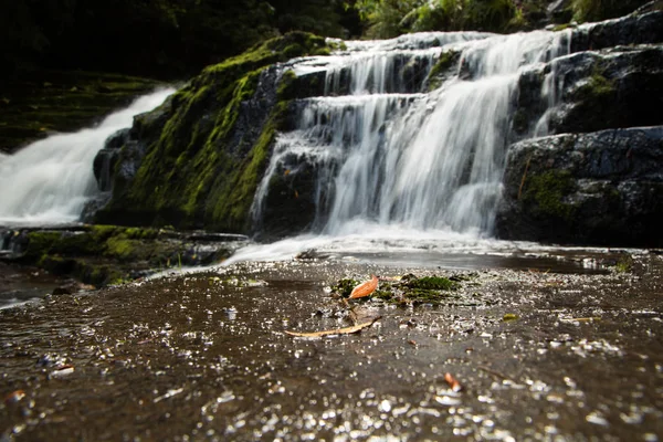 麦克莱恩瀑布在 Catlins 森林公园的 Tautuku — 图库照片