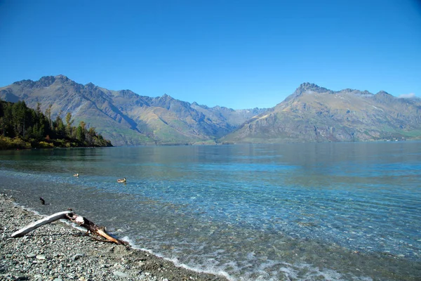 Красивое Озеро Вакатипу Возле Гленорчи Новой Зеландии — стоковое фото