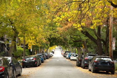 Sonbahar mevsiminde güzel sokakta Montreal Kanada'da Quebec eyaletinde