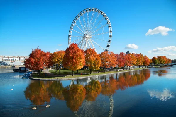 Große Rad Von Montreal Mit Seinem Panoramischen Blick Meter Hoch lizenzfreie Stockfotos