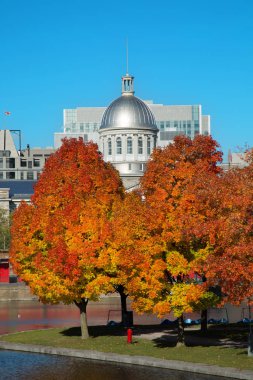 Bonsecours Montreal eski bağlantı noktası arasında iki portakal akçaağaç pazarda bir kubbe 