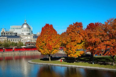 Bonsecours Montreal eski bağlantı noktası turuncu akçaağaç ile pazarda görünümünü 