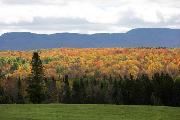 Colorful Mountain Yellow Orange Green Trees Picture Taken Autumn Season — Stock Photo, Image