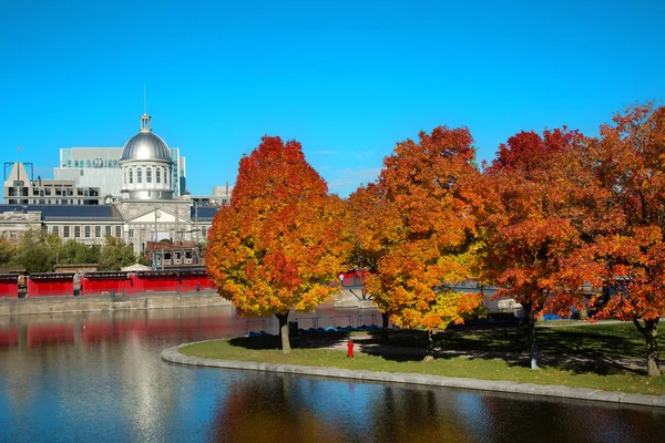 Bonsecours Piac Egy Régi Kikötő Montreal Narancssárga Juhar Nézet — Stock Fotó