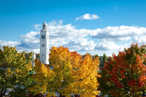 Clock Tower Old Port Montreal Green Yellow Red Tree Foreground — Stock Photo, Image