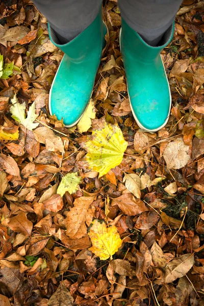 Turquoise rain boots standing on a grass covered by fallen leave during fall season in Canada