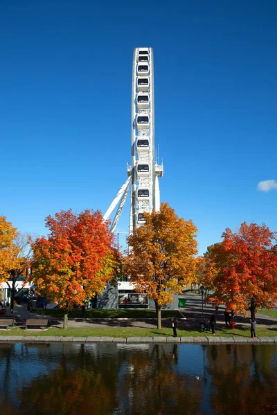 メートルの彼のパノラマ ビュー と秋のシーズン中に川とオールド モントリオール都市の息をのむビュー モントリオールのモントリオール カナダ 2018 グレート ホイール — ストック写真