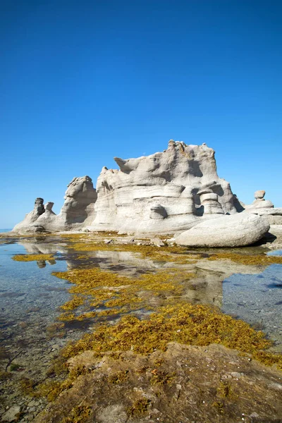 Beautiful Chateau Yellow Seaweed Front Mingan Archipelago National Park Reserve — Stock Photo, Image