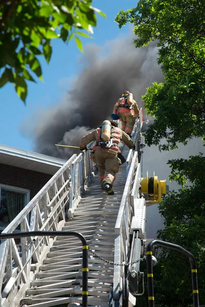 Montreal Canada Juni 2020 Brandweerlieden Klimmen Omhoog Een Brand Een — Stockfoto