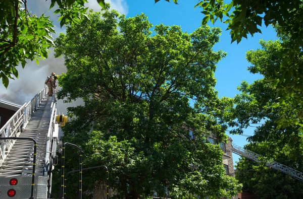 Montreal Kanada Juni 2020 Feuerwehrleute Klettern Den Himmel Einen Brand — Stockfoto