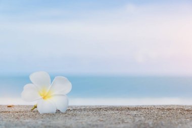 Güzel doğa deniz yaz arka plan