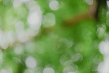 soyut, yeşil yaprak desen doğa koyu yeşil arka plan.