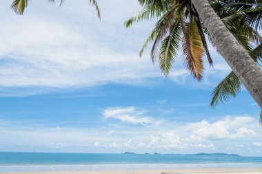 Güzel doğa deniz yaz arka plan