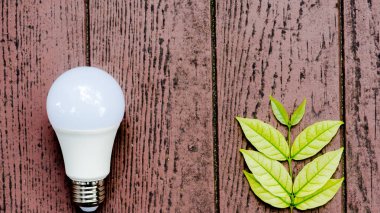 LED BULB ECO Çevreyle Enerji tasarrufu