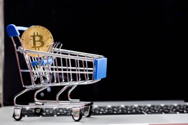 Bitcoin para madenciliğinin kapatılması İnternet Ağına bağlanıyor 