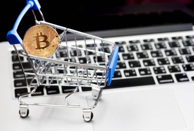 Bitcoin para madenciliğinin kapatılması İnternet Ağına bağlanıyor 