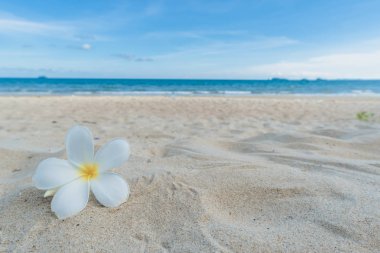 Güzel doğa deniz yaz arka plan