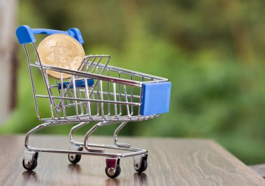 Bitcoin para madenciliğinin kapatılması İnternet Ağına bağlanıyor 