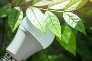 LED BULB ECO Çevreyle Enerji tasarrufu