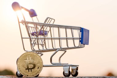 Bitcoin para madenciliğinin kapatılması İnternet Ağına bağlanıyor 