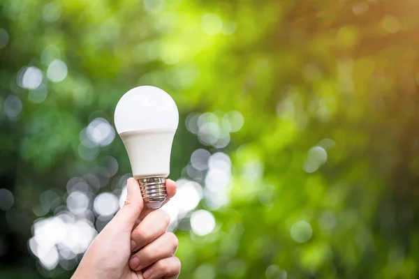 Ahorro Energía Led Bulb Eco Con Medio Ambiente — Foto de Stock