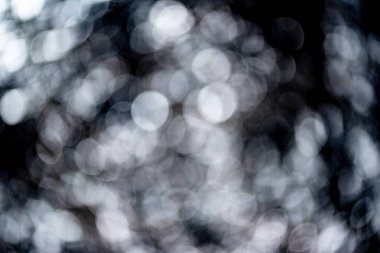 Cadılar Bayramı arka plan ve güzel duvar kağıdı.