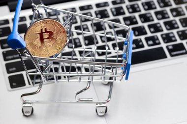Bitcoin para madenciliğinin kapatılması İnternet Ağına bağlanıyor 