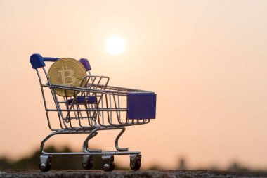 Bitcoin para madenciliğinin kapatılması İnternet Ağına bağlanıyor 