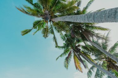 Güzel doğa deniz yaz arka plan